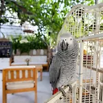 Kaya 4* Datca