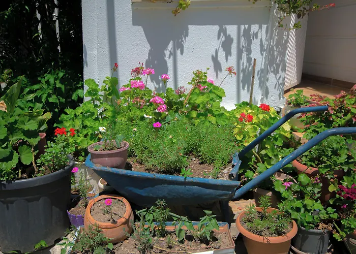 Apartahotel Kaya Datça